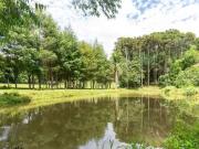 Sítio / Chácara para Venda em Campo Largo/PR Jardim...
