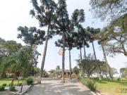 Sítio / Chácara para Venda em Campo Largo/PR Ouro Verde...