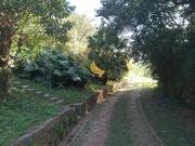 Sítio / Chácara para Venda em Campo Limpo Paulista/SP...