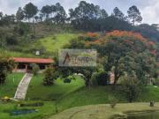 Sítio / Chácara para Venda em Campo Limpo Paulista/SP...