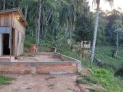 Sítio / Chácara para Venda em Campo Magro/PR Zona Rural...