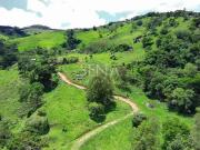 Sítio / Chácara para Venda em Campos do Jordão/SP Jardim...