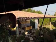 Sítio / Chácara para Venda em Capela do Alto/SP Jardim...