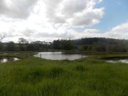 Sítio / Chácara para Venda em Capela do Alto/SP Zona Rural