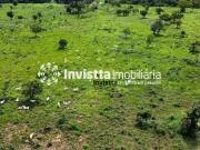 Sítio / Chácara para Venda em Carolina/MA Alto da Colina