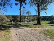 Sítio / Chácara para Venda em Caxias do Sul/RS Fazenda Souza
