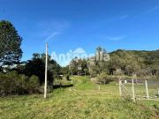Sítio / Chácara para Venda em Caxias do Sul/RS Fazenda Souza