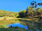 Sítio / Chácara para Venda em Caxias do Sul/RS Fazenda... Sítio / Chácara para Venda em Caxias do Sul/RS Fazenda...