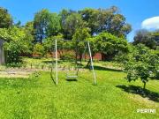 Sítio / Chácara para Venda em Caxias do Sul/RS Pedancino