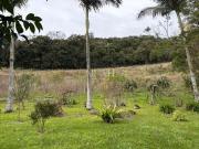 Sítio / Chácara para Venda em Caxias do Sul/RS São Pedro...
