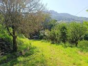 Sítio / Chácara para Venda em Caxias do Sul/RS Vila...