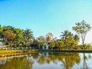 Sítio / Chácara para Venda em Cedral/SP Zona Rural 5 Quartos