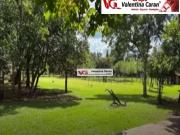 Sítio / Chácara para Venda em Cesário Lange/SP Aleluia 4...