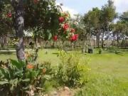 Sítio / Chácara para Venda em Chapada dos Guimarães/MT...