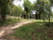 Sítio / Chácara para Venda em Colombo/PR Roseira 4 Quartos