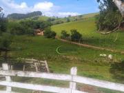 Sítio / Chácara para Venda em Conceição dos Ouros/MG...