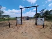 Sítio / Chácara para Venda em Conde/BA Zona Rural