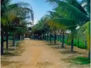 Sítio / Chácara para Venda em Condeúba/BA Centro 4 Quartos