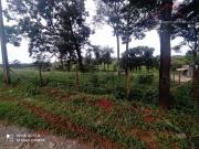 Sítio / Chácara para Venda em Contagem/MG Condomínio...