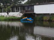 Sítio / Chácara para Venda em Cotia/SP Cachoeira 2 Quartos