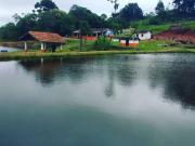 Sítio / Chácara para Venda em Cotia/SP Jardim das Graças