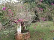 Sítio / Chácara para Venda em Cotia/SP Jardim São Luiz...