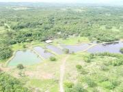 Sítio / Chácara para Venda em Cuiabá/MT Nossa Senhora da...
