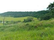 Sítio / Chácara para Venda em Cuiabá/MT Zona Rural