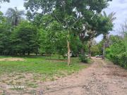 Sítio / Chácara para Venda em Cuiabá/MT Zona Rural 2 Quartos