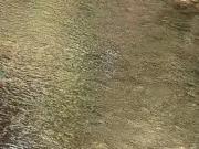 Sítio / Chácara para Venda em Cuiabá/MT Zona Rural 3 Quartos