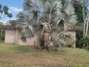 Sítio / Chácara para Venda em Cuiabá/MT Zona Rural 3 Quartos