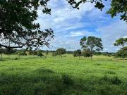 Sítio / Chácara para Venda em Cuiabá/MT Zona Rural 3 Quartos