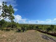Sítio / Chácara para Venda em Cuiabá/MT Zona Rural 4 Quartos