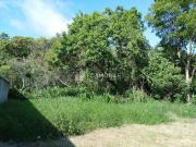 Sítio / Chácara para Venda em Curitiba/PR Butiatuvinha