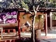 Sítio / Chácara para Venda em Divinópolis/MG Área Rural...