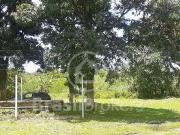 Sítio / Chácara para Venda em Duque de Caxias/RJ Taquara...