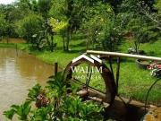 Sítio / Chácara para Venda em Entre Rios de Minas/MG...