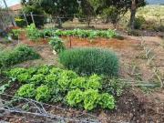 Sítio / Chácara para Venda em Esmeraldas/MG São José 4...