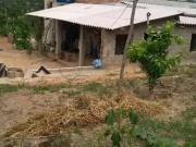Sítio / Chácara para Venda em Esmeraldas/MG Zona Rural 3...