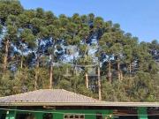 Sítio / Chácara para Venda em Fazenda Rio Grande/PR...