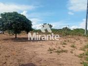 Sítio / Chácara para Venda em Feira de Santana/BA Novo...