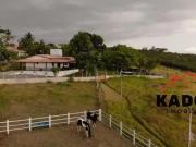 Sítio / Chácara para Venda em Feira de Santana/BA Tomba...