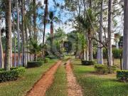 Sítio / Chácara para Venda em Fernão/SP Zona Rural 3 Quartos