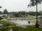 Sítio / Chácara para Venda em Flores da Cunha/RS...