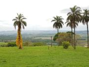 Sítio / Chácara para Venda em Franca/SP Área Rural de...