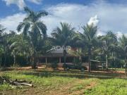 Sítio / Chácara para Venda em Goiânia/GO Distrito Vila Rica