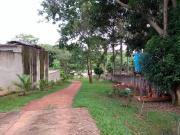 Sítio / Chácara para Venda em Goiânia/GO Jardim Mariliza...