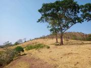 Sítio / Chácara para Venda em Goiânia/GO Jardim Nova... Sítio / Chácara para Venda em Goiânia/GO Jardim Nova...