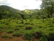 Sítio / Chácara para Venda em Goiânia/GO Jardim Nova...