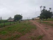 Sítio / Chácara para Venda em Goiânia/GO Jardim Nova...